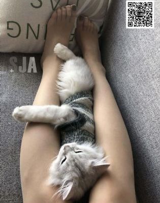 欢迎访问欧美日韩国产大陆综合一区_影视大全免费在线观看播放